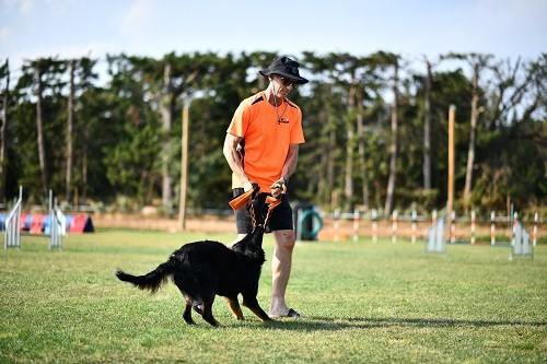 Publication : des Crocs de Provence Auteur : Mme Walthers