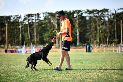 Publication : des Crocs de Provence Auteur : Mme Walthers