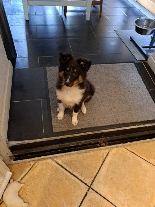 Atsuki brun des Crocs de Provence