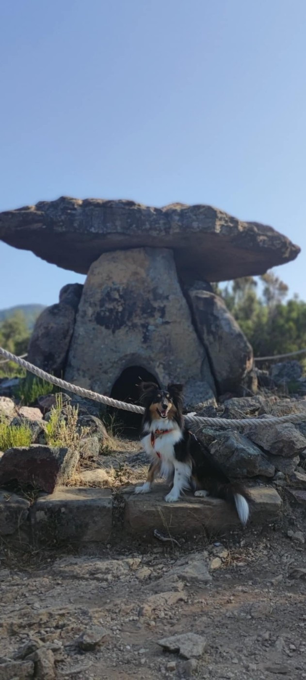 Tresor delancome brun des Crocs de Provence