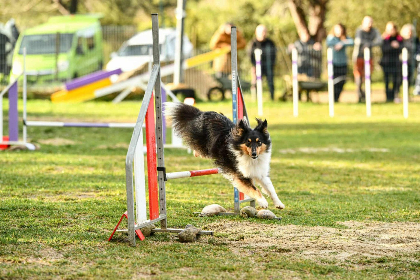 Tresor delancome brun des Crocs de Provence