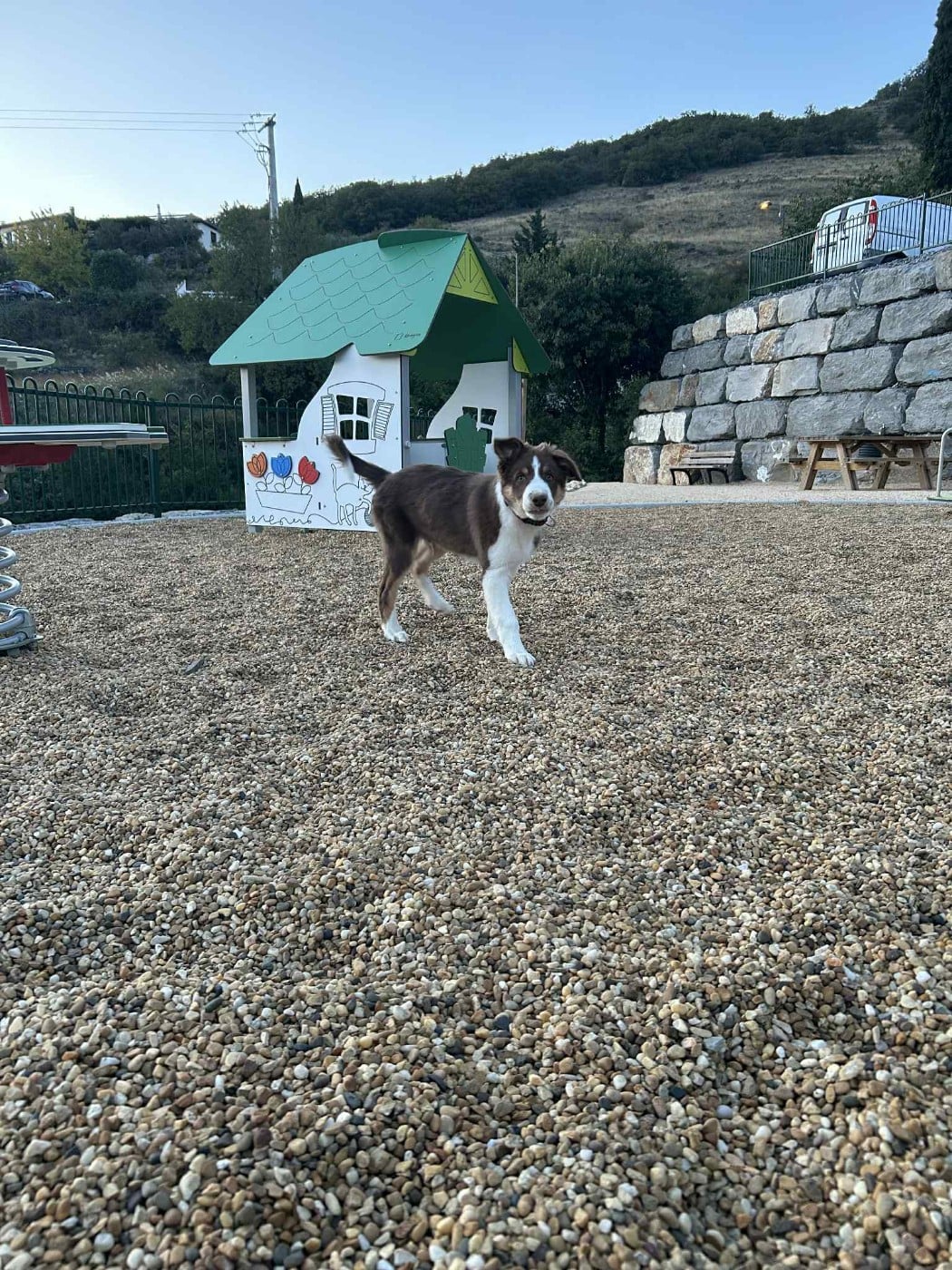 Ayko rl des Crocs de Provence