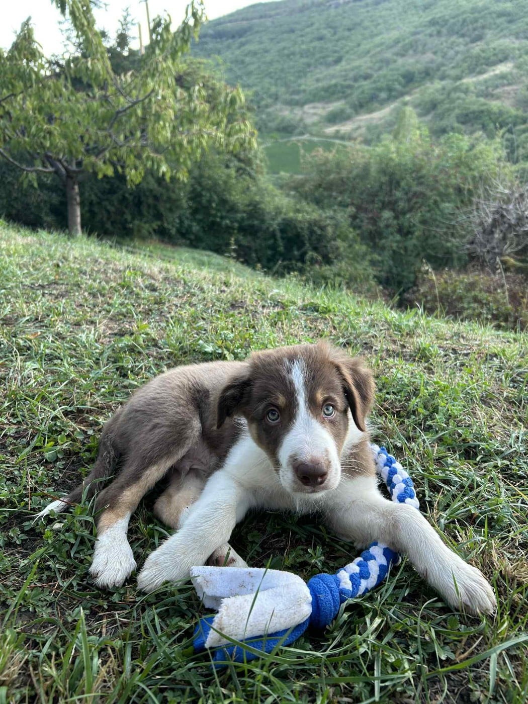 Ayko rl des Crocs de Provence