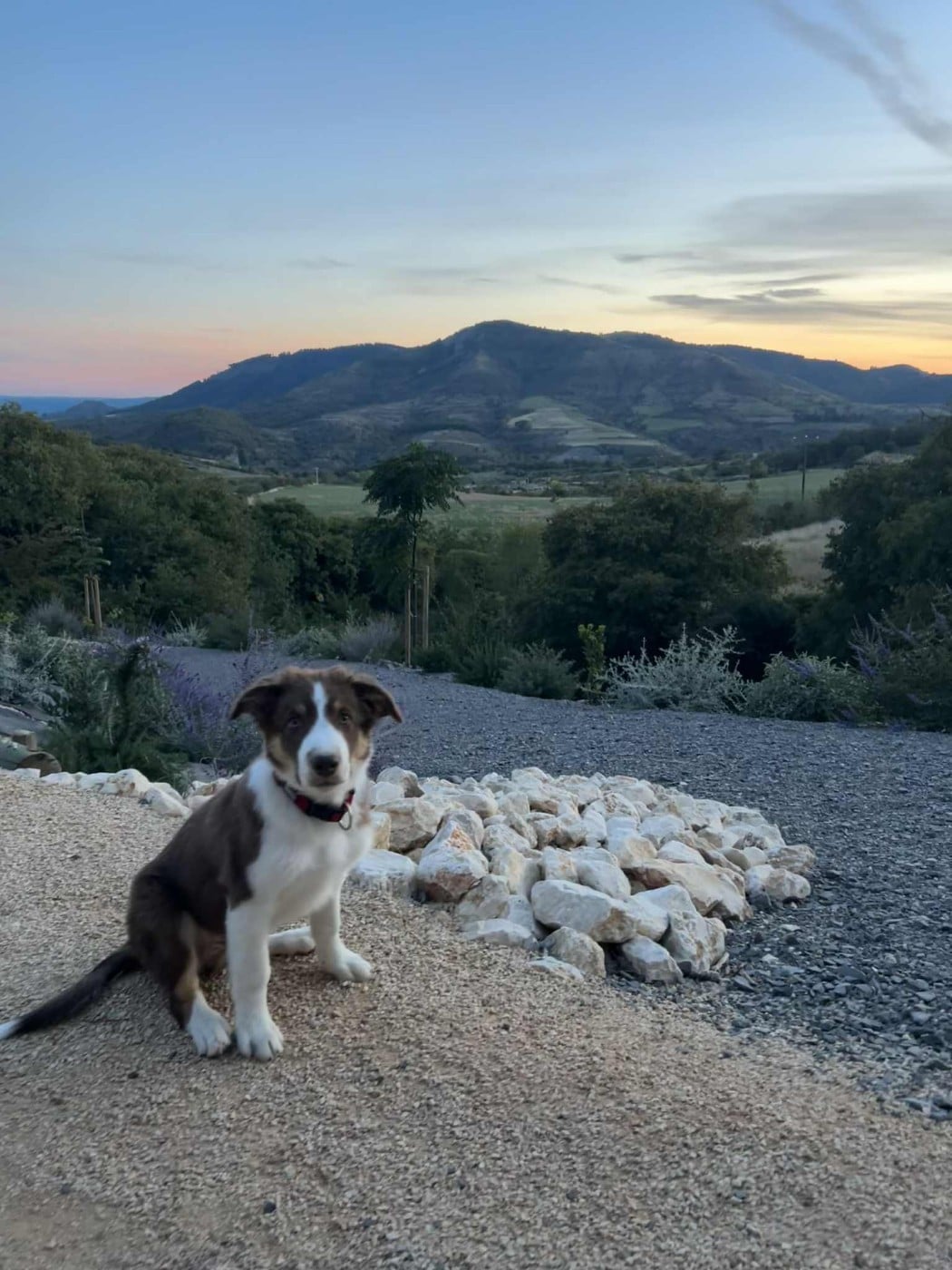 Ayko rl des Crocs de Provence