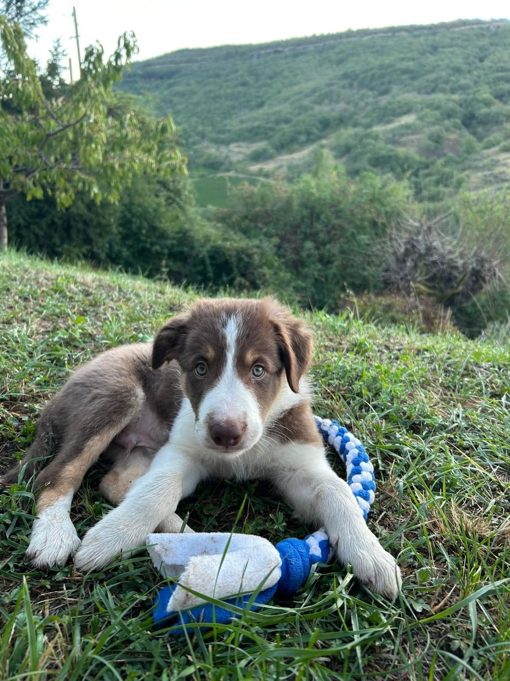 Ayko rl des Crocs de Provence