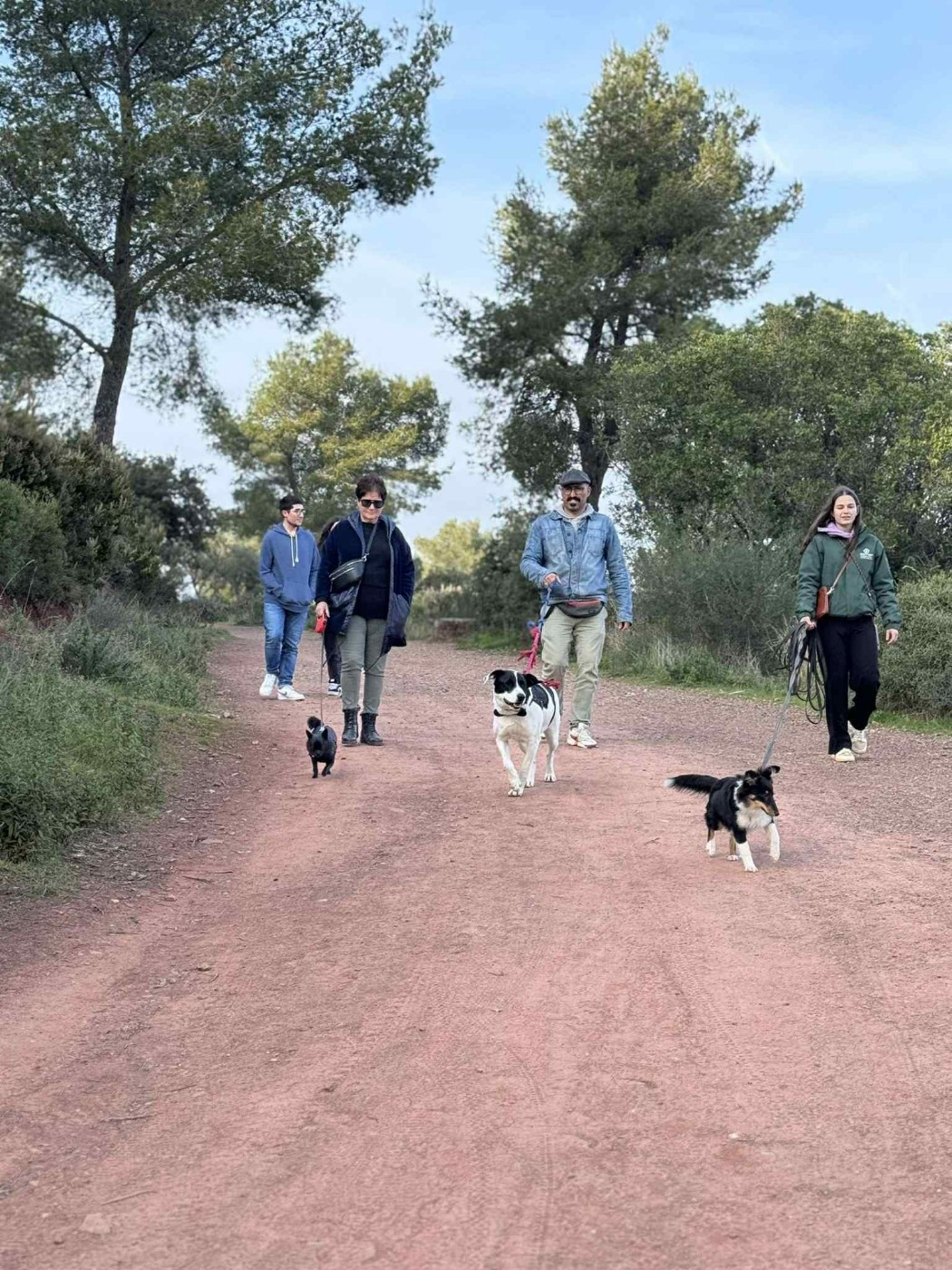 Vallonia brune des Crocs de Provence