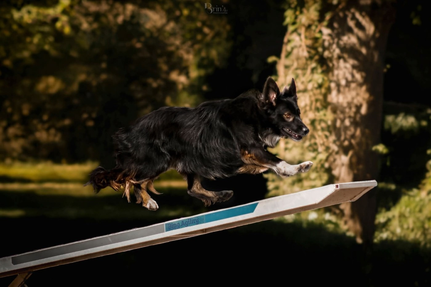 Ukiyo des Crocs de Provence