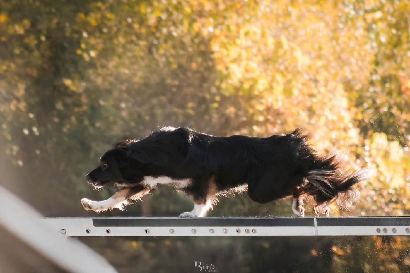 Ukiyo des Crocs de Provence