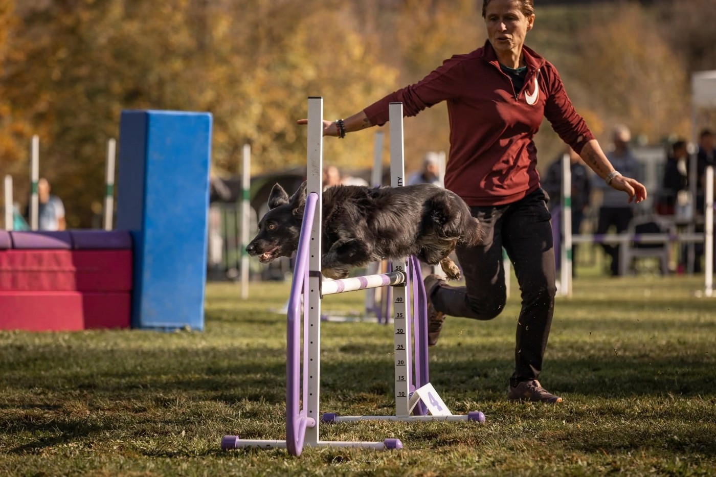 Oxy'black diamond des Crocs de Provence