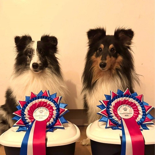 Umealven brun des Crocs de Provence