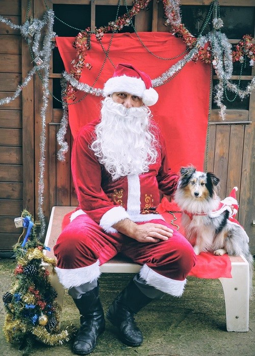 Osanna blue des Crocs de Provence