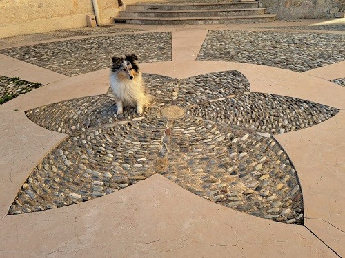 Osanna blue des Crocs de Provence