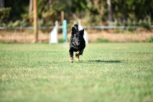 Rage against the machine des Crocs de Provence