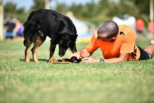 Rage against the machine des Crocs de Provence