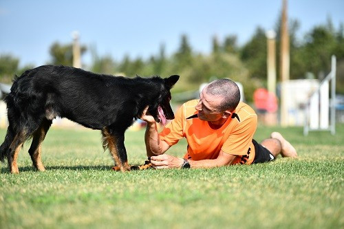 Rage against the machine des Crocs de Provence