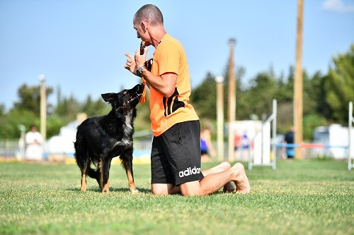 Rage against the machine des Crocs de Provence