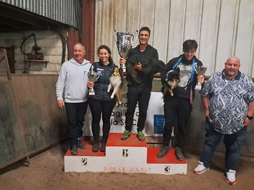 CH. River of glitter rain brune des Crocs de Provence