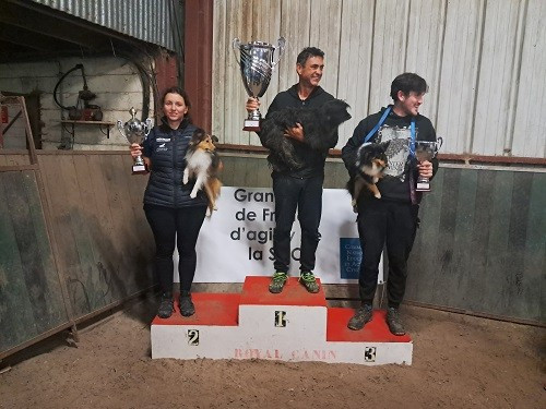 CH. River of glitter rain brune des Crocs de Provence