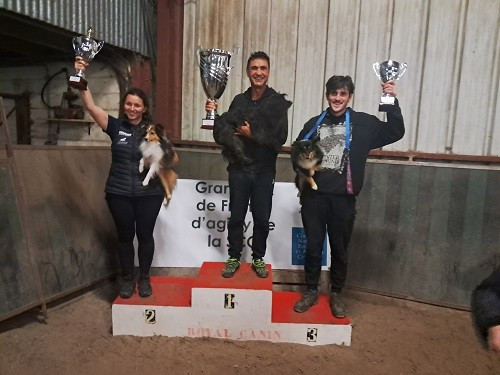 CH. River of glitter rain brune des Crocs de Provence