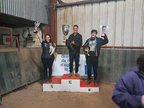 CH. River of glitter rain brune des Crocs de Provence