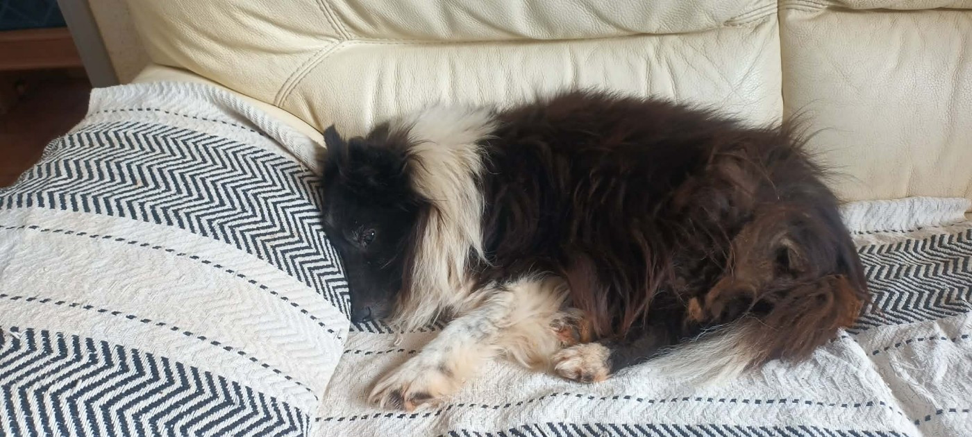 Idylle noire des Crocs de Provence