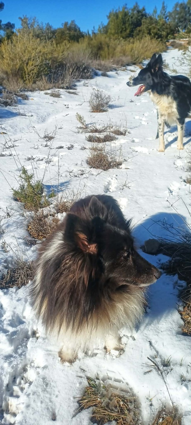 Idylle noire des Crocs de Provence