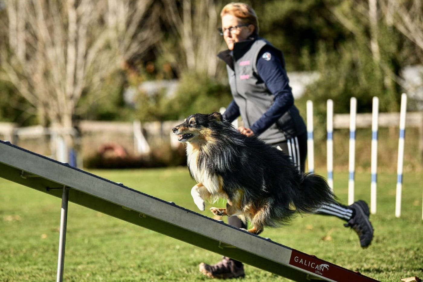 Topaz brun des Crocs de Provence