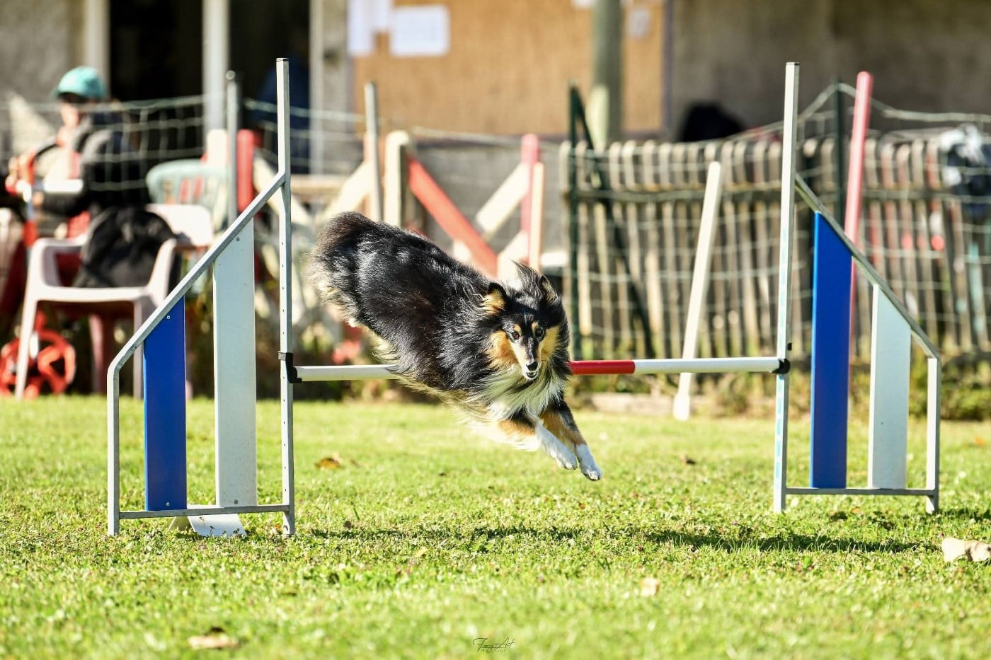 Topaz brun des Crocs de Provence
