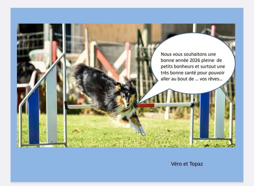 Topaz brun des Crocs de Provence