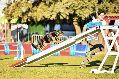 Uchuu yamato des Crocs de Provence