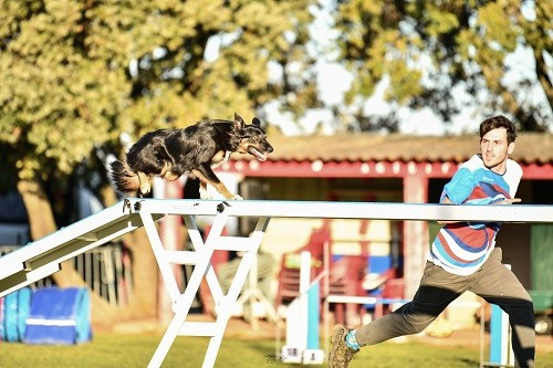 Uchuu yamato des Crocs de Provence