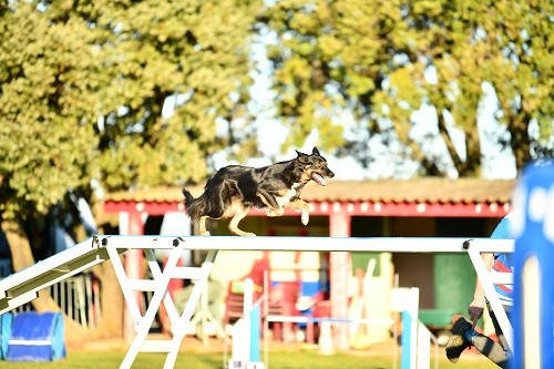 Uchuu yamato des Crocs de Provence