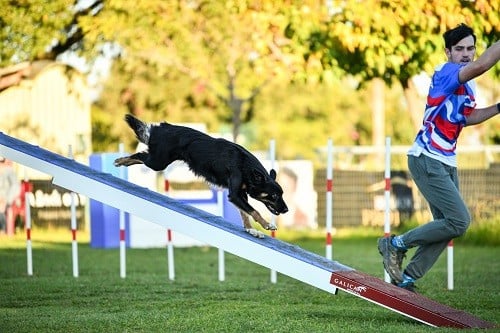 Uchuu yamato des Crocs de Provence