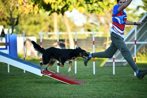 Uchuu yamato des Crocs de Provence