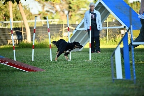 Uchuu yamato des Crocs de Provence