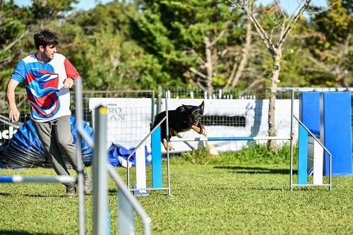 Uchuu yamato des Crocs de Provence
