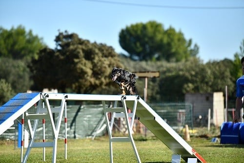 Uchuu yamato des Crocs de Provence
