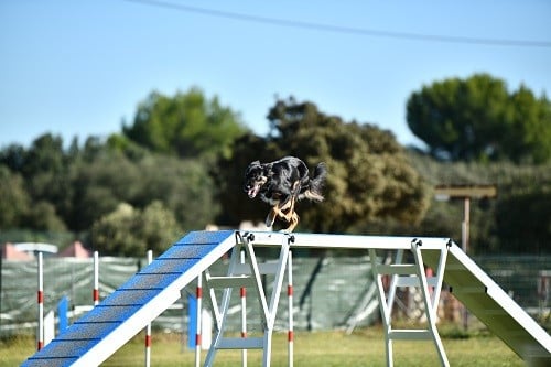 Uchuu yamato des Crocs de Provence