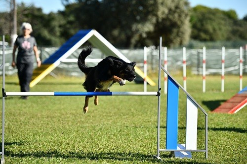 Uchuu yamato des Crocs de Provence
