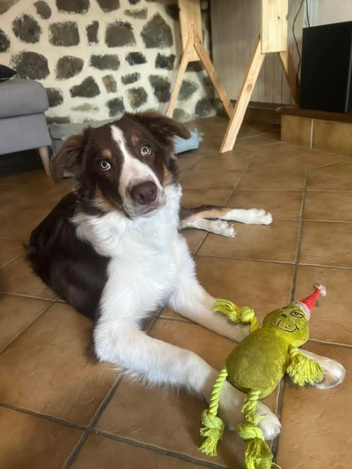 Ayko rl des Crocs de Provence