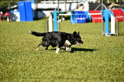 On des Crocs de Provence