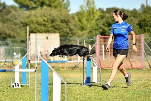 On des Crocs de Provence