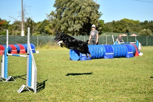 On des Crocs de Provence