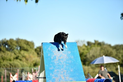 On des Crocs de Provence