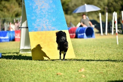 On des Crocs de Provence