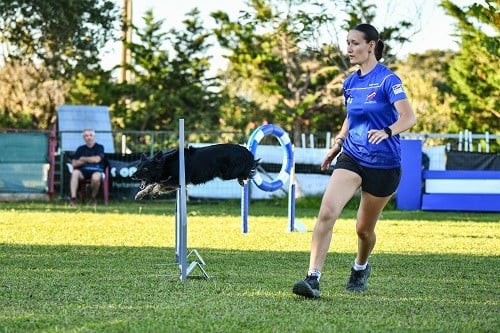 On des Crocs de Provence