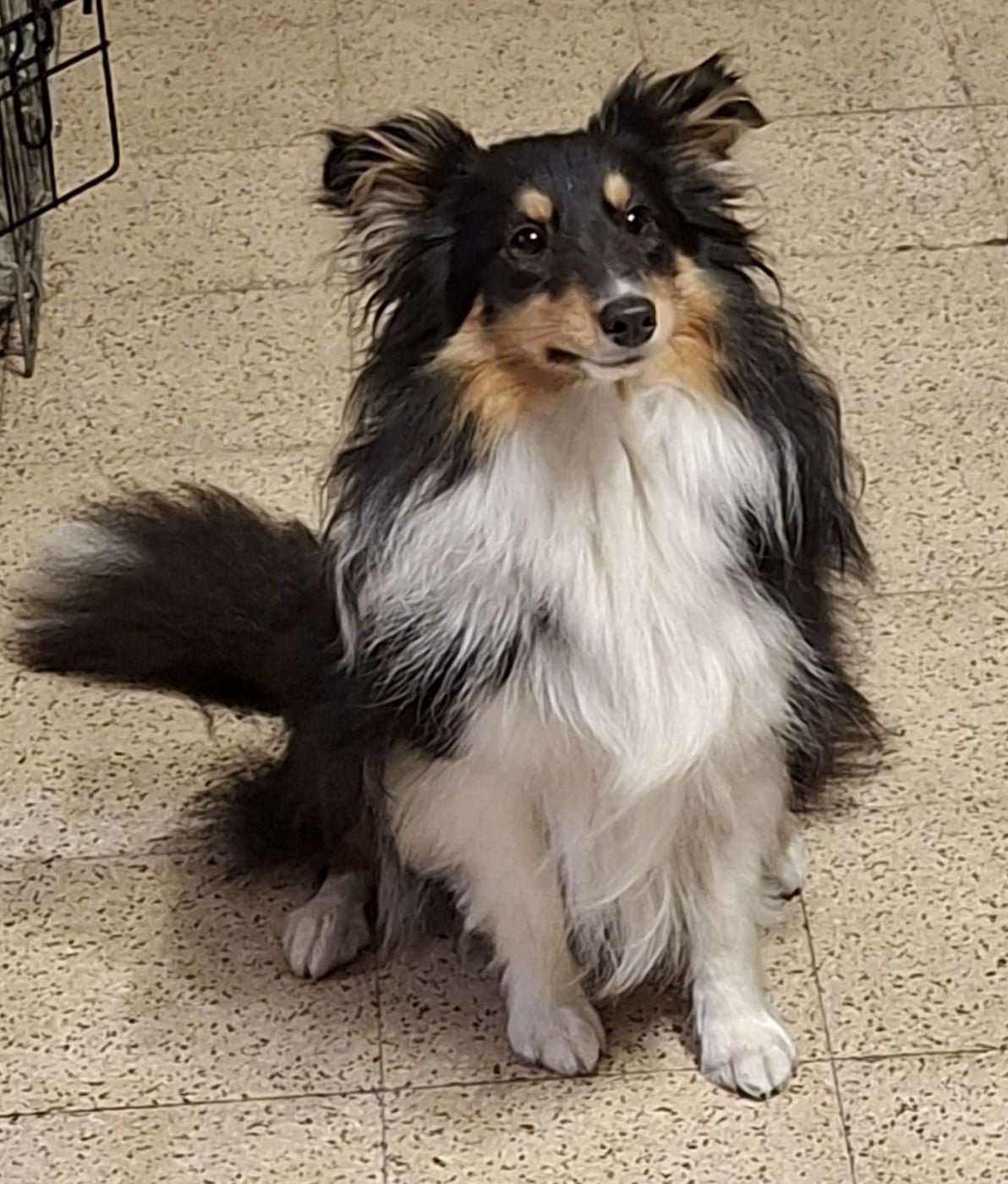 Virgin mojito brune des Crocs de Provence