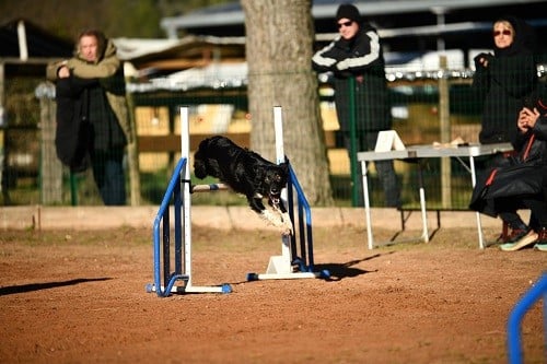 On des Crocs de Provence