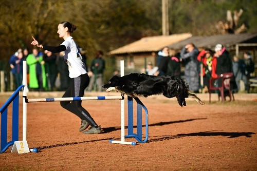 On des Crocs de Provence