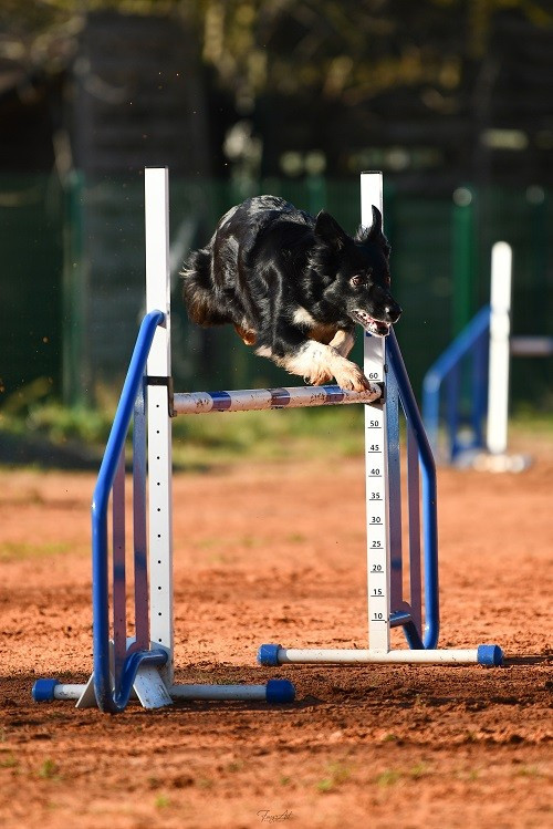 On des Crocs de Provence